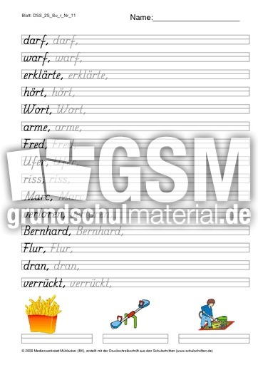 DSS_2S_Bu_r_Nr_11.pdf
